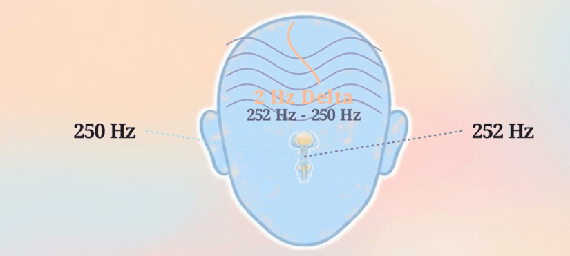 what-is-Neurotinn